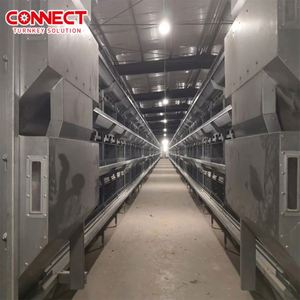 Comederos Automáticos para Gallinas de Granja, Jaulas para Animales, Jaulas Tipo H para Ponedoras, Jaulas de Baterí<span class=keywords><strong>a</strong></span> para Alimentar Pollos - Product Image 4