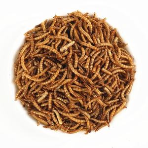 <span class=keywords><strong>Insectes</strong></span> <span class=keywords><strong>comestibles</strong></span> en gros, vers de farine séchés, nourriture pour animaux, supervers - Product Image 1