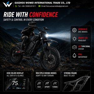 Moto tout-terrain électrique à moteur central haute performance 190 Nm, 72 V 25 Ah Lithium 6000 W sans balais, pour adultes, aventure extrême hors route - Product Image 5