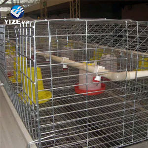 Jaulas de animales para pollitos, gallinas, gallinas, equipo de jaula <span class=keywords><strong>ponedora</strong></span>, capa de <span class=keywords><strong>huevo</strong></span> automática para la venta - Product Image 4