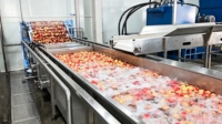 Volledig automatische productielijn voor appel-, peer- en guavensap, inclusief sapcentrifuge, industriële fruitverwerkingslijn, turn-key.