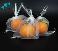 Sacs de protection pour raisins en HDPE anti-insectes avec cordon de serrage pour protéger les graines de plantes, les fruits, les fleurs, les légumes 25*35cm