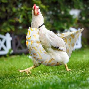 XS - L Caneton Poulet <span class=keywords><strong>Couche</strong></span> <span class=keywords><strong>Lavable</strong></span> Réutilisable Oie Vêtements Ferme Pet Couches Noeud Papillon Canard Couches Fournitures pour Volaille - Product Image 3