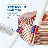 Câble plat à deux conducteurs BVVB-2*2.5/4 mm² à faible perte, norme nationale chinoise, pour la distribution d'énergie principale des immeubles de bureaux