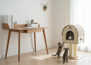 บ้านแมวทรงสูง คุณภาพสูง เป็นมิตรกับสิ่งแวดล้อม พร้อมโครงปีนป่ายสำหรับแมว - Product Image 5