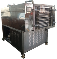 Mini Gedroogde Vis Zoete Aardappel Groente 5Kg En Fruit Bloem Vriesmachine Gember Droogmachine Droogmachine