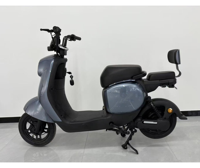 Popular Electric Moped Scooter with 350W Brushless Rear Hub Motor 48V Lead Acid Battery Direct City EBike