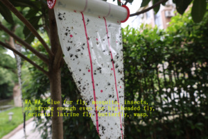 Piège à mouches collant géant non toxique BSTW en gros – Piège à insectes collant - Product Image 5