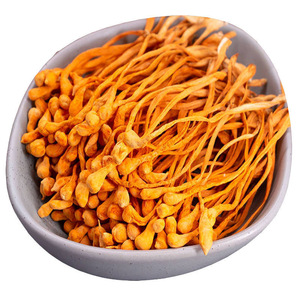 <span class=keywords><strong>Champignons</strong></span> médicinaux Cordyceps de Chine Yong Chong Cao, Cordyceps militaris séché naturel <span class=keywords><strong>comestible</strong></span> à vendre - Product Image 1
