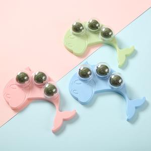 Plantes d'intérieur Jouets pour chats Puzzles pour chats Lécher les murs Herbe à chat - Product Image 6