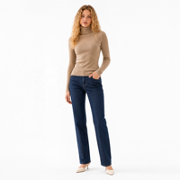 Pull en maille à col roulé pour femme, coupe ajustée, manches longues, couleur unie, côtelé, col haut, doux, style coréen