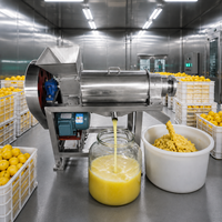 Machine à jus de fruits et légumes industrielle et commerciale, extracteur de jus de citron, gingembre, agrumes et orange en acier inoxydable
