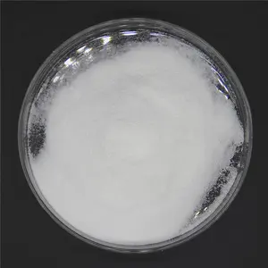 Ácido tereftálico CAS 100-21-0