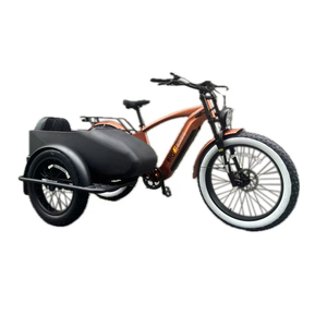 Innovador 48V 600W Electric Pedicab Nuevo vehículo eléctrico de 48V con batería de tubo inferior integrada para adultos - Product Image 1
