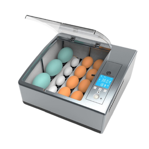 Incubateur d'œufs professionnel pour canards, taux d'éclosion élevé de 96 %, automatique et économe en énergie, pour usage agricole - Product Image 6