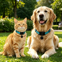 Collier GPS pour chien et chat certifié Apple Find My MFi, étanche IP68, réfléchissant, réglable, anti-perte, noir, bleu, rouge, turquoise