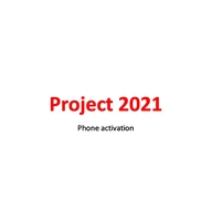 Logiciel de serveur de réseautage professionnel Project Professional 2016/2019/2021 Pro Version Business pour une expédition en ligne garantie. En stock.