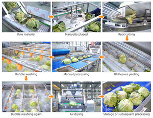 Máquina de lavado y enjuague de verduras (brócoli, <span class=keywords><strong>tomate</strong></span>, repollo), línea de lavado de vegetales, máquina de secado de <span class=keywords><strong>tomate</strong></span> - Product Image 4