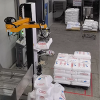 Robot colonne pour le dépalettisage de sachets de sirop de glucose/maltose, bras robotisé, 25 kg/sachet, 100 sachets/h, qualité alimentaire, option antidéflagrante, PLC