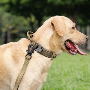Collier de chien Joymay Offre Spéciale avec poignée collier de chien tactique robuste réglable de haute qualité pour l'entraînement en plein air des grands chiens - Product Image 3