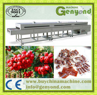 Fruit Lederen Verwerking Lijn Fruit Lederen Productielijn Fruit Puree Verspreiden Scrapper En Cutter