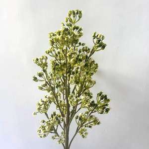 <span class=keywords><strong>Grand</strong></span> <span class=keywords><strong>olivier</strong></span> artificiel décoratif de jardin d'intérieur Plante d'intérieur décorative en plastique en <span class=keywords><strong>pot</strong></span> - Product Image 6