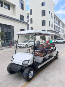 Voiturette de golf à essence de haute qualité, fabricant de voiturettes de golf à essence, voiturettes de golf utilitaires personnalisées pour clubs de chasse - Product Image 6