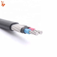 Cable Concéntrico de Aluminio Trenzado 3x6AWG con Aislamiento XLPE y Cubierta de PVC para Instalación Aérea