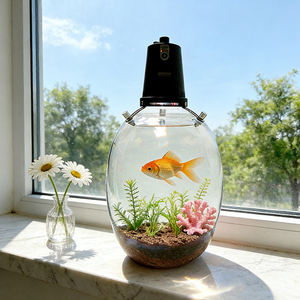 Vase intelligent électronique de bureau 3-en-1 avec lumière <span class=keywords><strong>LED</strong></span> pour culture de plantes, idéal pour la maison, le bureau, la suspension murale et le jardinage en petits espaces - Product Image 4