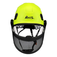 Casque de sécurité innovant SNHL6S ANSI EN397 avec double écran facial, visière transparente, protection en maille et protège-oreilles