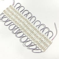 Prix de gros 70*15mm Module LED IP67 DC12V 3 LED Haute luminosité pour enseignes publicitaires