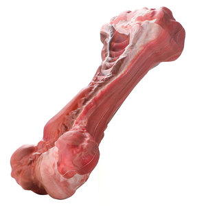 Juguete Masticable para Perros, Hueso de Goma, Juguete Interactivo para la Dentición de Mascotas - Product Image 3