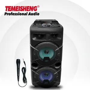 Temeisheng TMS-609 Double poignée de 6.5 pouces, boîte de haut-parleurs pour système sonore, haut-parleur BT sans fil, lecteur audio portable
