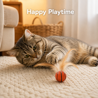 Balle de jeu interactive pour animaux de compagnie en caoutchouc plumeux, forme de ballon de football, de baseball ou de basketball, pour le jeu en intérieur