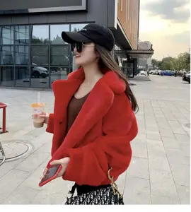 Nouveau manteau en <span class=keywords><strong>fausse</strong></span> <span class=keywords><strong>fourrure</strong></span> de vison d'hiver en gros manteau en peluche de style tempérament à la mode pour femmes manteau en <span class=keywords><strong>fausse</strong></span> <span class=keywords><strong>fourrure</strong></span> de vison pour femmes au design court - Product Image 6