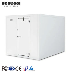 Contenedor Refrigerado con Dimensiones Personalizables, -25~+10C, Control Automático, Refrigerante R404a, 1 Puerta, 380/400VAC, Personalizado - Product Image 3