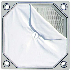 Placa de Filtro CGR de Polipropileno (PP) DZ para Prensa de Filtro con Dimensiones Personalizables - Product Image 1
