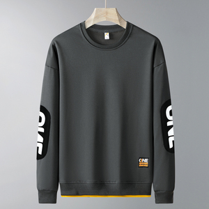 Logo personnalisé printemps et automne pull ample gras hommes grande taille plus velours rembourré loisirs col rond pull à manches longues - Product Image 1