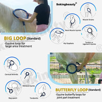 Appareil PEMF équin portable, équipement de thérapie pour chevaux, pour les soins vétérinaires, les fermes, les entraîneurs et les professionnels équestres
