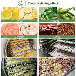 เครื่องอบแห้งแห้งแบบแห้งสำหรับอบแห้งแบบแช่แข็งกาแฟสำเร็จรูป - Product Image 6