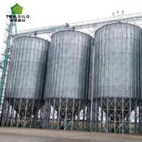 Silo Agricolo a Fondo a Tramoggia per Alimenti Zootecnici e Stoccaggio Grano, Capacità 100-2000 Tonnellate