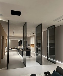 Thép pivot cửa nhiệt phá vỡ đôi bằng kính cách nhiệt khung thiết kế cho khu dân cư biệt thự và căn hộ hiện đại - Product Image 5