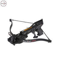Arc à poulies compact professionnel en aluminium avec poids de tirage réglable pour la pratique de l'archerie en extérieur