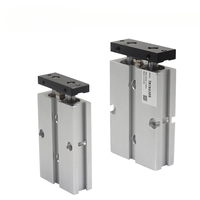 Cylindre pneumatique à double effet à deux tiges de type Airtac, avec aimant, TN10XS 16X20S X30S 32X40S X50S X60S, OEM, 3 ans de garantie, livraison gratuite