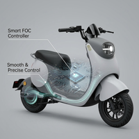 Bicicleta Eléctrica con Motor de 400W y Pedales, 48V, Resistente al Agua IP65, Alcance de 75km