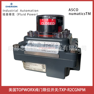 Interrupteur de fin de course Topworx TXP-R2CGNPM IP65, interrupteur industriel, borne à vis, 24V 10A, matériau ABS - Product Image 1