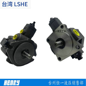 Pompe à aubes LSHE SVPF 15 20 30 40 55 70, pompe à huile hydraulique pour machines industrielles - Product Image 4