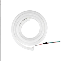 Bande lumineuse LED flexible haute tension AC220V, étanche, pour extérieur, décoration de jardin, 10W, néons