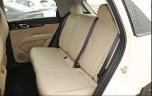 Venta Especial: Xingyuan 410km Versión Premium, Mini Auto Eléctrico de Alta Calidad a Bajo Precio, EV Hatchback (Sin Reseñas) - Product Image 6