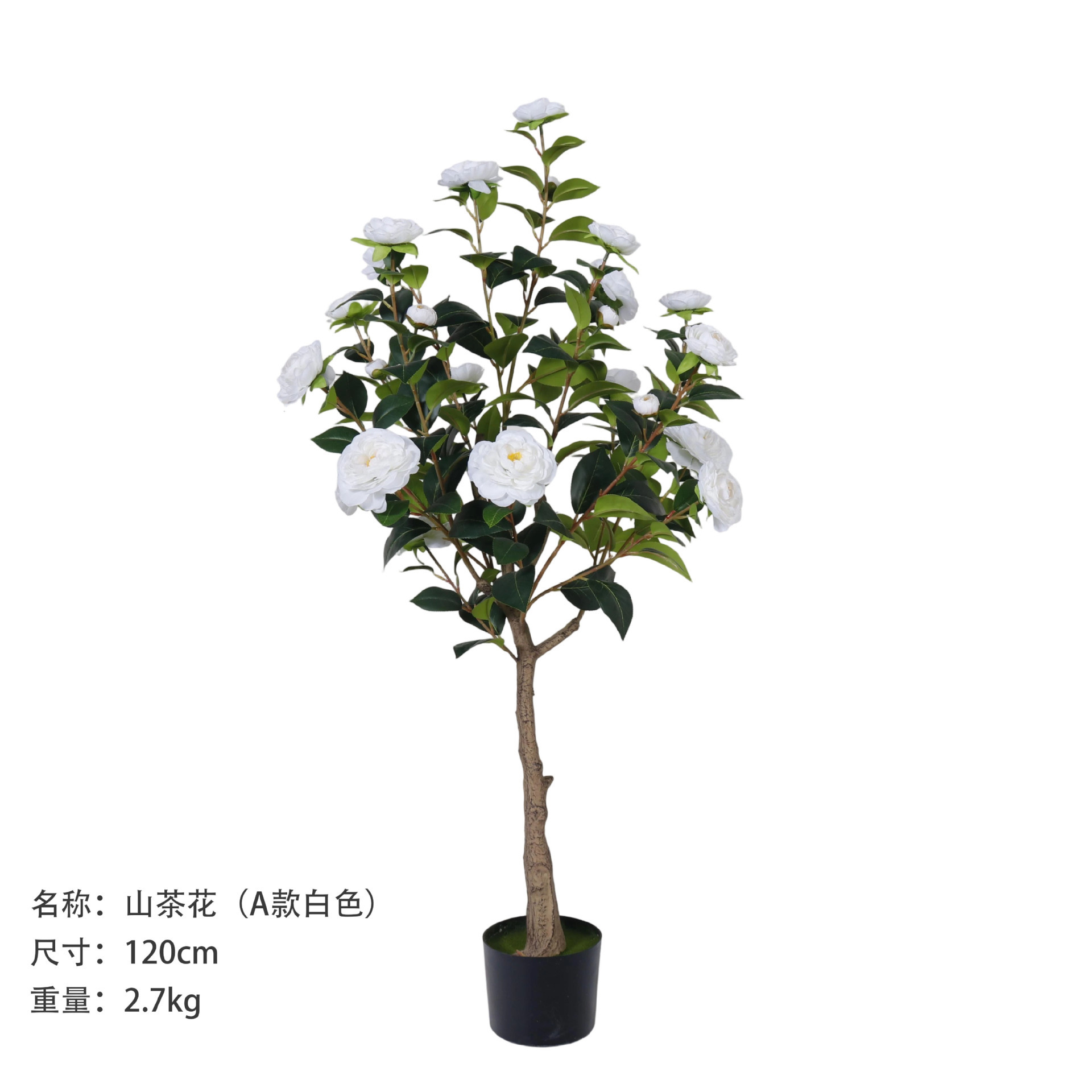 Camélia 120 cm (style A, blanc)